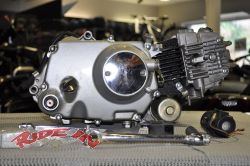 Universal Motor 125ccm Pitbike