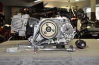 Universal Motor 125ccm Pitbike